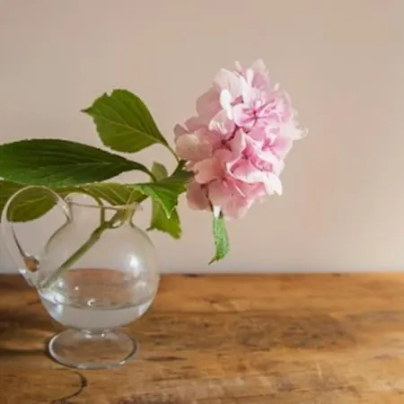 Colonial Jardin Algorta Centro Puerto Viejo Getxo